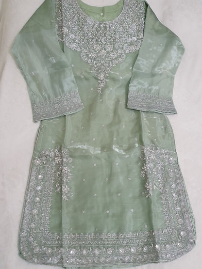 Green Embroidered Sheesha Silk Palazzo Suit – Stitched 3pc-RW3- 230
