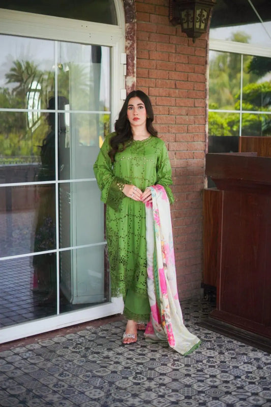 Embroidered Green Lawn Stitched 2pc for women by Aneela's Colletion