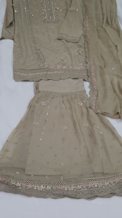 Agha Noor Inspired Skin Chiffon Gharara – Stitched 3pc-RW3-238